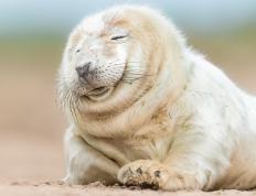 开云体育官方网站-冰封北境，烈焰重生，英格拉姆于极限压力下完成正名之战