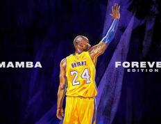 开云APP-雷霆万钧夜，克莱一剑封喉—决胜时刻方显英雄本色