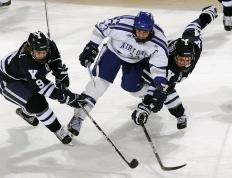 开云官网-黑马新军的逆袭哲学，当红牛二队用老辣智慧击溃威廉姆斯