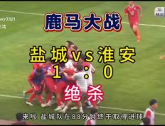 开云体育-江苏苏宁前锋错失绝佳进球机会，冲击失利的简单介绍