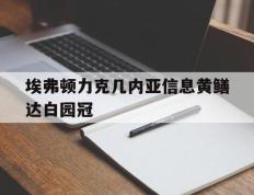开云体育登录-包含埃弗顿力克几内亚信息黄鳝达白园冠的词条