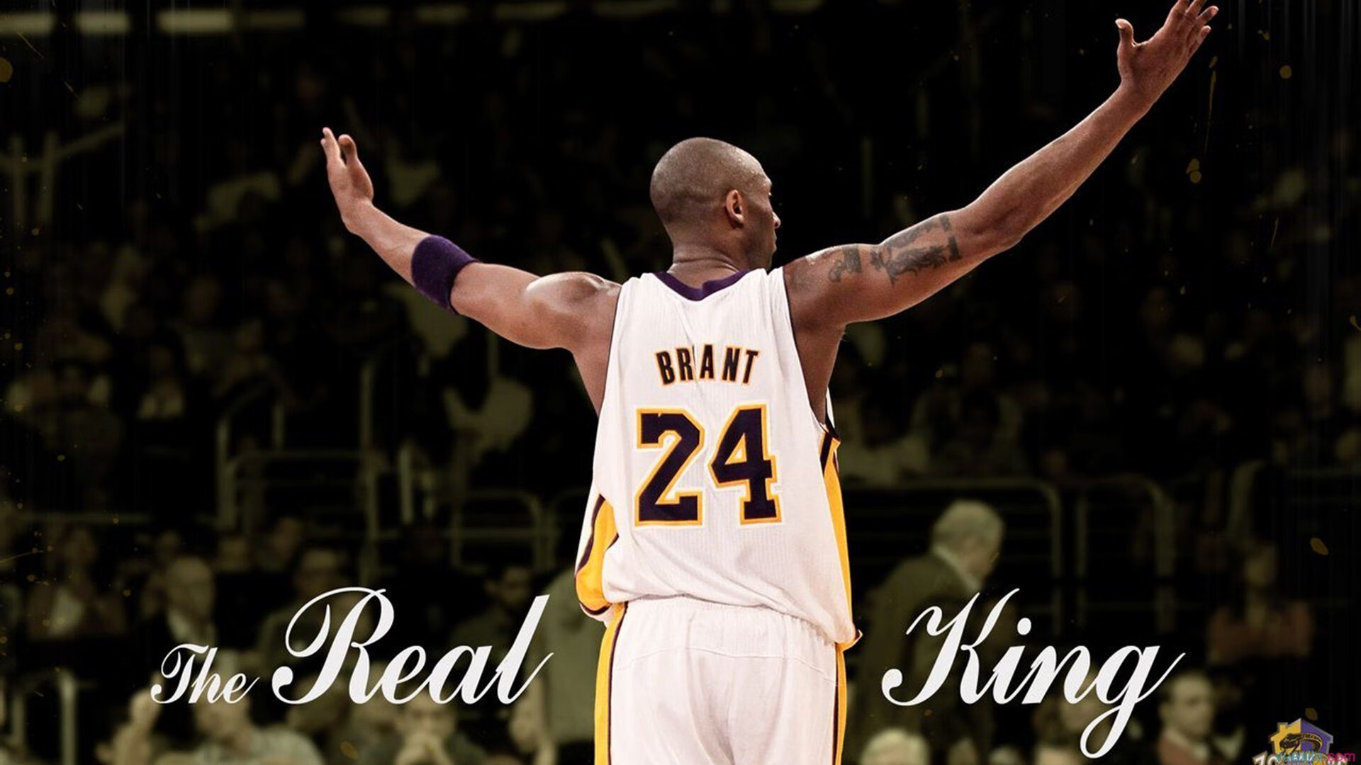 开云官方app入口-北美足球之夜，爱德华兹的暴力美学如何改写三国剧本